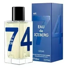Iceberg Eau de Iceberg Cedar EDT tualetinis vanduo vyrams, 100 ml