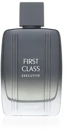 Etienne Aigner Aigner First Class Executive EDT tualetinis vanduo vyrams, 100 ml