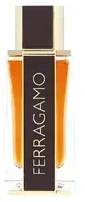 Salvatore Ferragamo Ferragamo Ferragamo Spicy Leather PP kvepalai vyrams, 100 ml