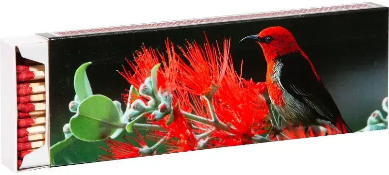 Flamax degtukai 20 cm 55 vnt.