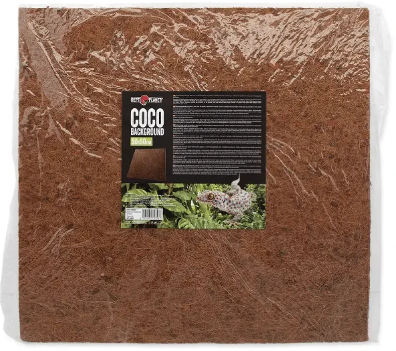 Fono tipas: „Repti Planet Coco“ fonas, 50x50 cm