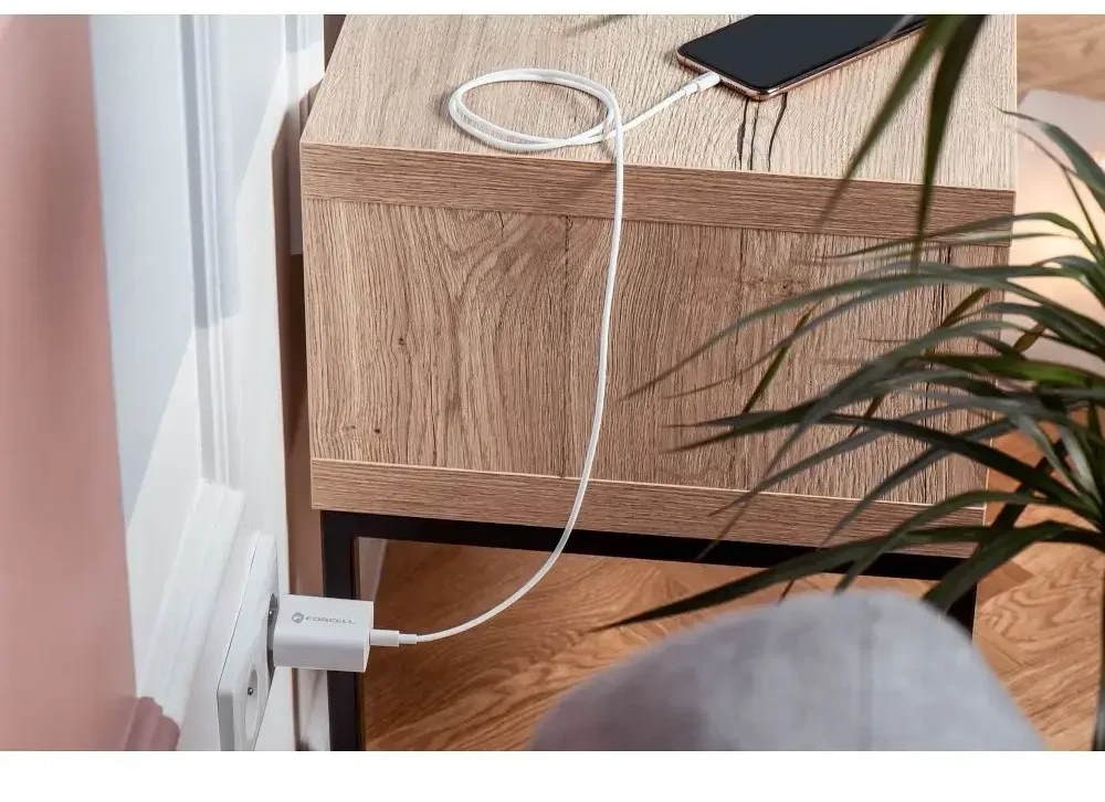 PTC Forcell 230V sieninis įkroviklis su USB Type-C, žaibo (APPLE) laidu 3A 20W su PD ir QC 4.0 įkrovimo funkcija