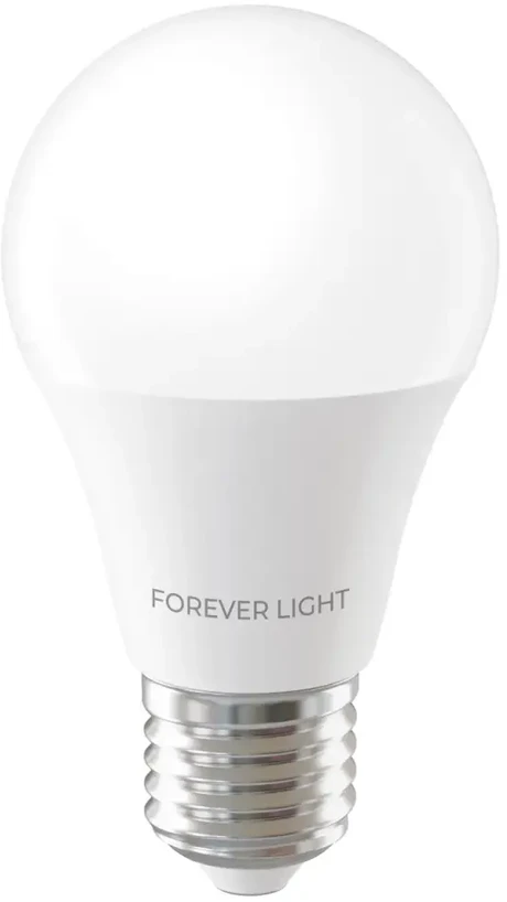 „Telforceone Forever Light“ LED lemputė E27 A55 4W 480lm 4000K E klasė