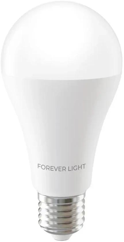 „Telforceone Forever Light“ LED lemputė E27 A65 17W 2100lm 3000K E klasė
