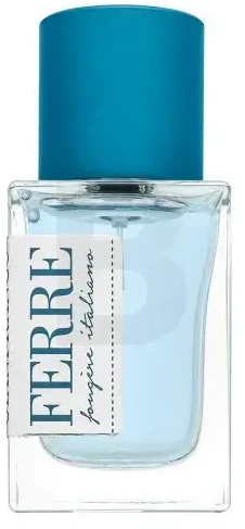 Gianfranco Ferré Fougere Italiano EDT tualetinis vanduo vyrams, 30 ml