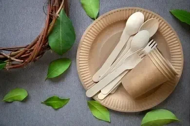 Gogreen „Go Žalias Go Žalias“ pikniko rinkinys 4 asmenims