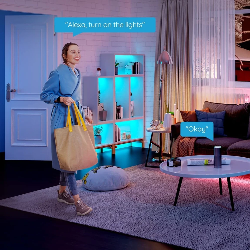 „Govee Basic“ 5 m LED stovas, RGB, „Wi-Fi“ H615A3A1
