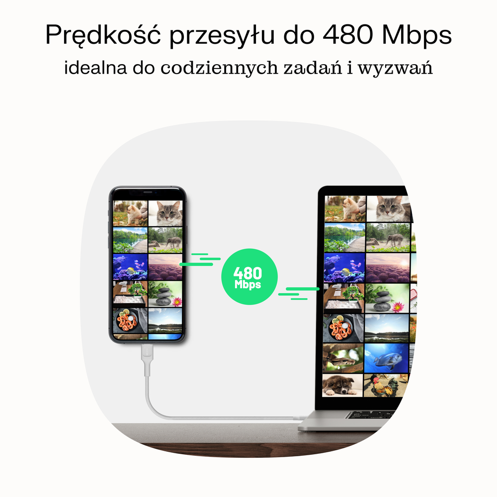 Green Cell Žalias Cell USB-C laidas 2m 100W Greencell PowerStream greito įkrovimo PD Mint Žalias