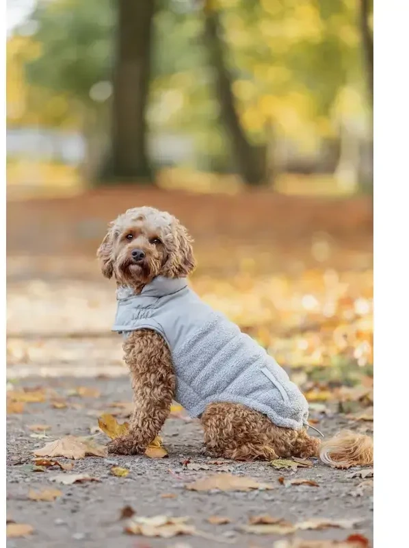 Apģērbs suņiem - Trixie Ajou coat, XS: 27 cm