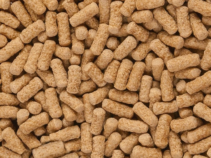 sera Vandens vėžlių suaugusiųjų mineraliniai pagaliukai 1.000 ml (220 g)
