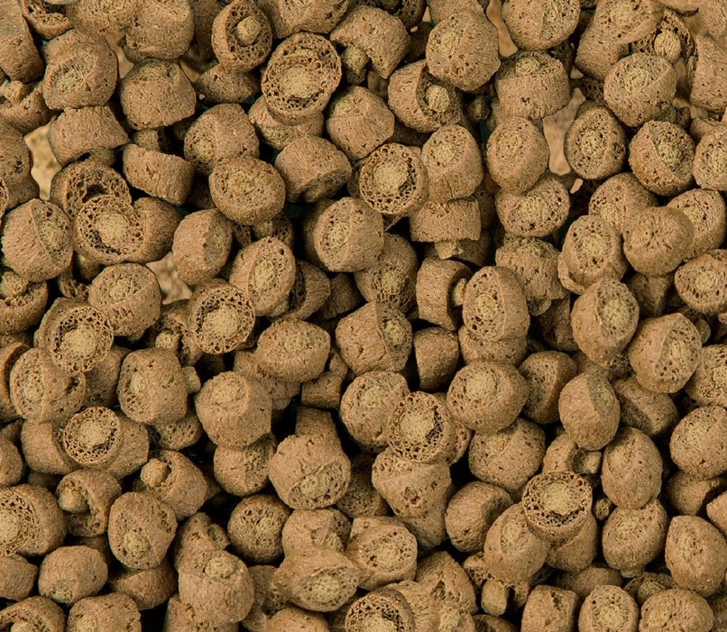 Sera Reptil Professional Carnivorr 250ml pašaras mėsėdėms reptilijoms