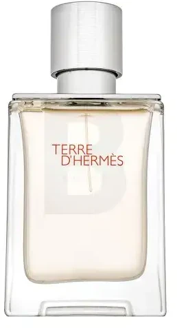 Kvepalai vyrams Hermès Terre D'hermès Terre D'hermès Eau Givrée Eau De Parfum Eau De Papildomas 50ml