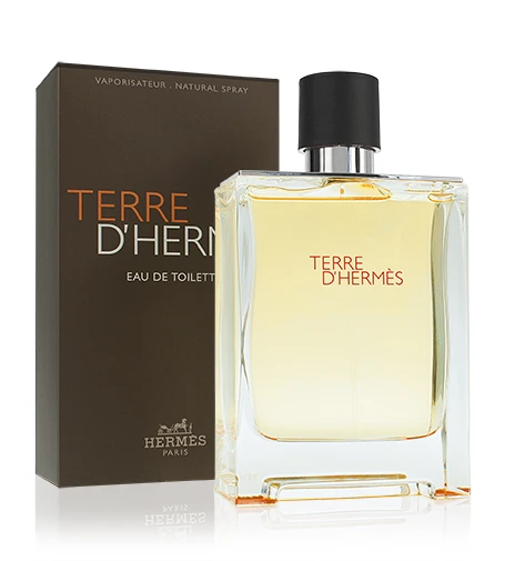 Kvepalai vyrams Hermes Terre D'Hermes EDT, 100 ml