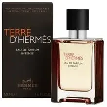 Hermes Terre D'Hermes EDP parfumuotas vanduo unisex, 100 ml