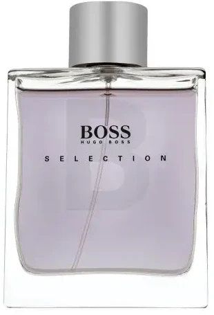 Kvepalai vyrams Hugo Boss Selection EDT, 100 ml