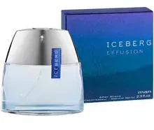 Iceberg Effusion Man EDT tualetinis vanduo vyrams, 75 ml