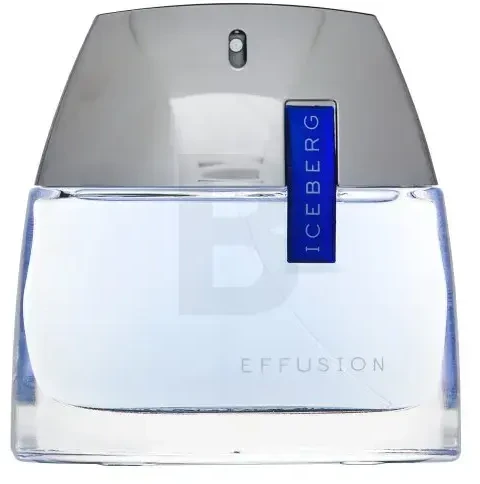Iceberg eau de toilette effusion man 75 ml vapo