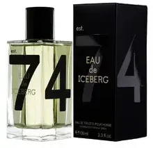 Iceberg Eau de Iceberg Pour Homme EDT tualetinis vanduo vyrams, 100 ml