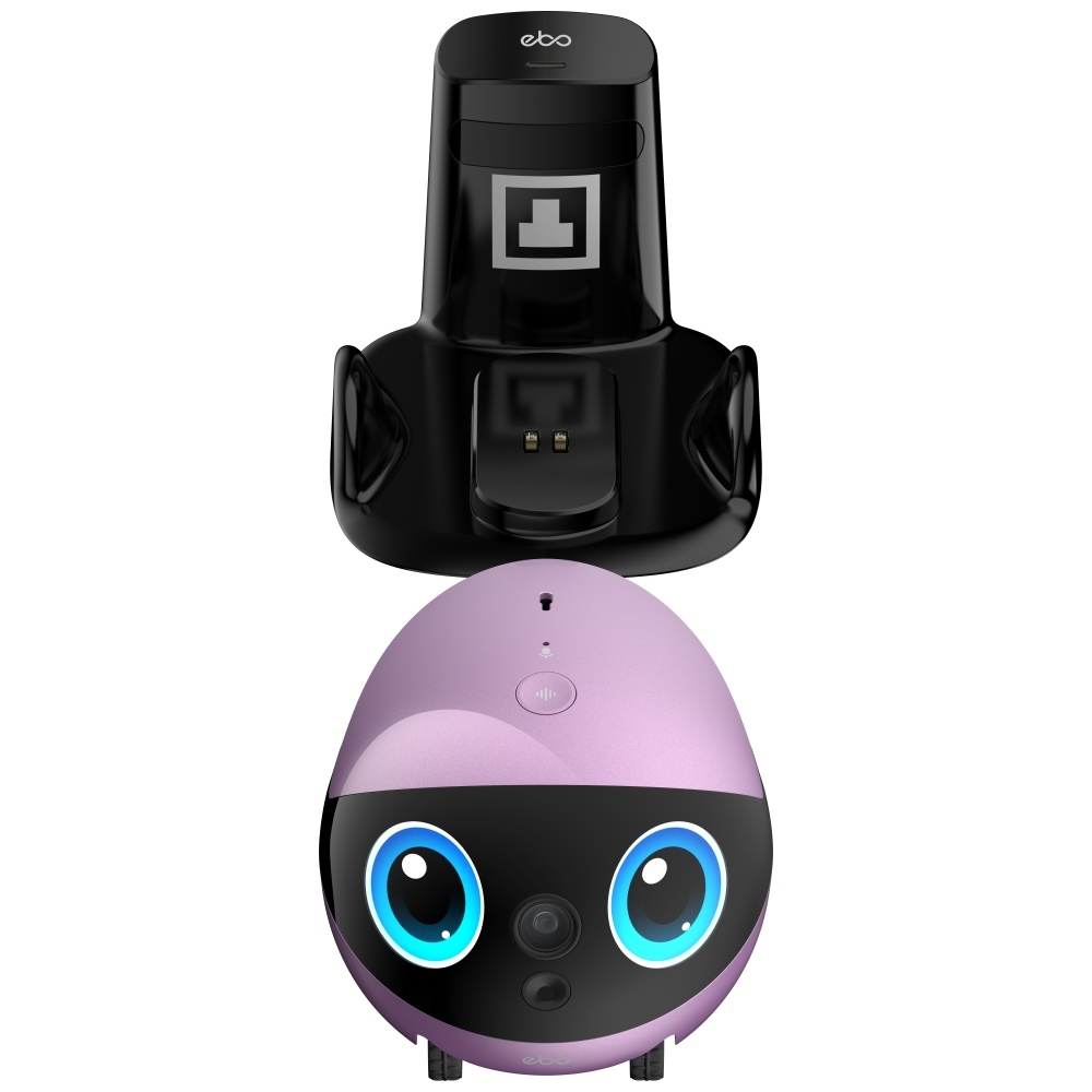 Namų robotas kompanijonas Enabot EBO Air 2 Plus FamilyBot su stebėjimo ir skambučių funkcija, violetinis