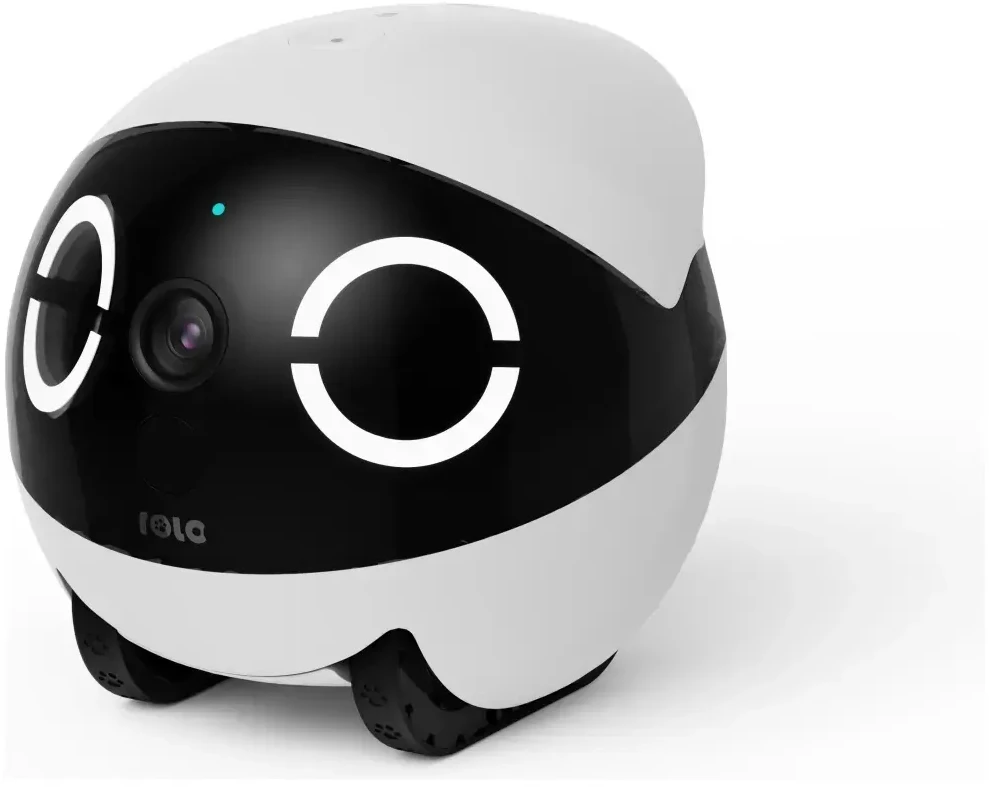 Intelligentus kompanionas robotas ENABOT ROLAMINI