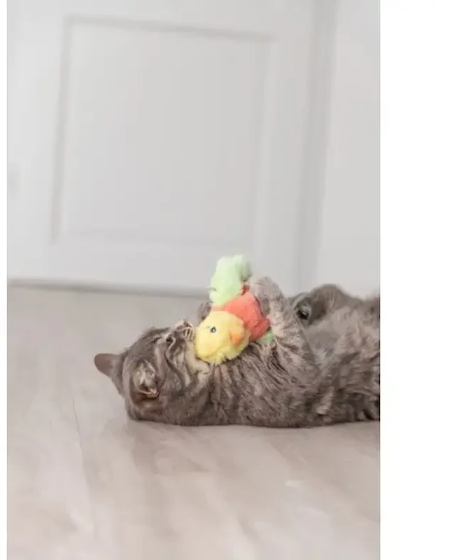 Trixie Wiggle paukštelis, katei, pliušinis, 10 cm