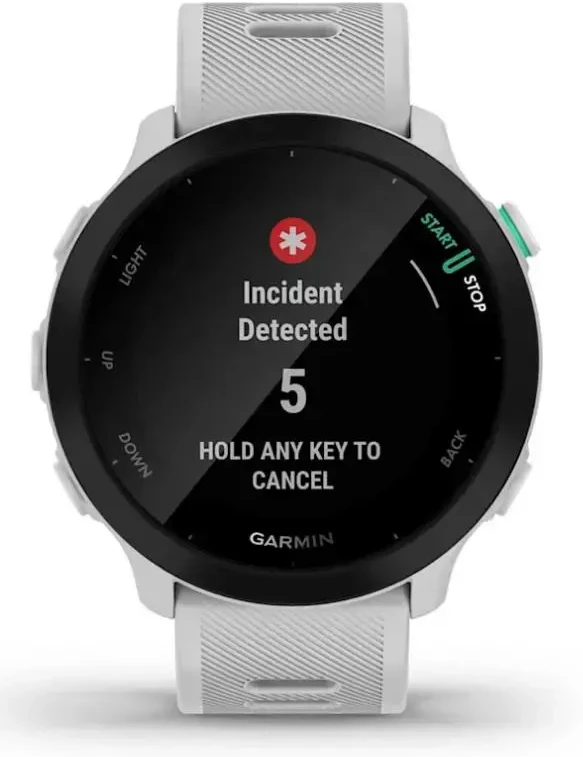 Išmanusis laikrodis Garmin Nešiojamas prietaisas Forerunner 55 / 010-02562-15
