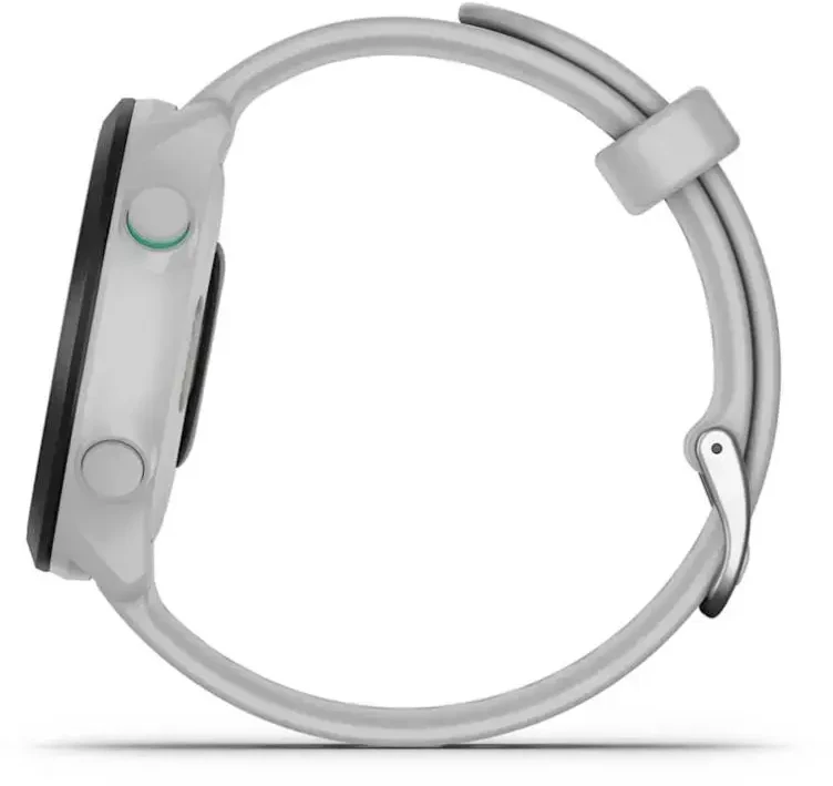 Išmanusis laikrodis Garmin Nešiojamas prietaisas Forerunner 55 / 010-02562-15