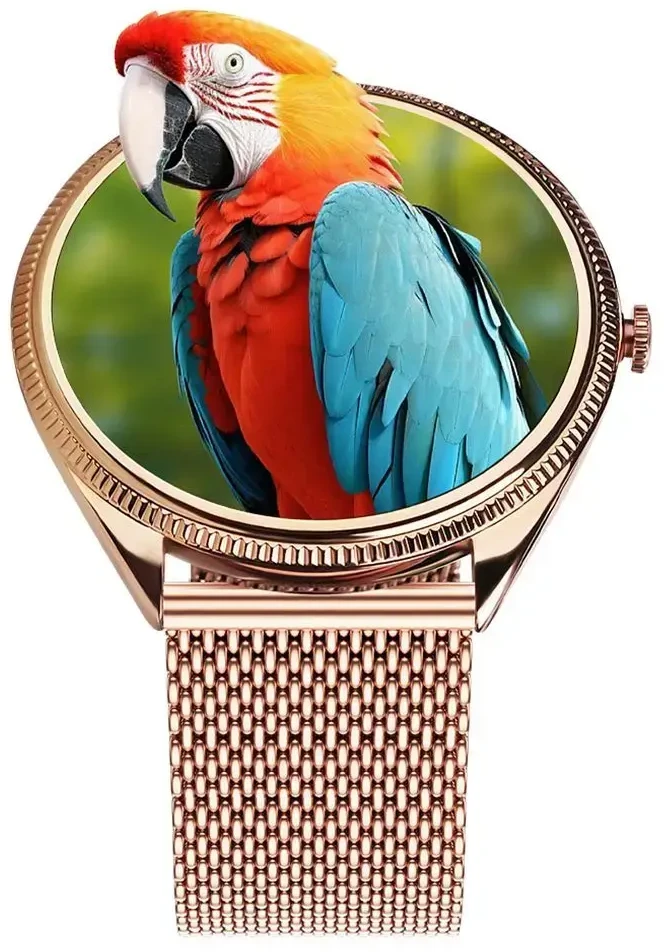Išmanusis laikrodis TITMO O-170 (AMOLED, bluetooth call, stainless steal auksinis mesh strap) auksinis