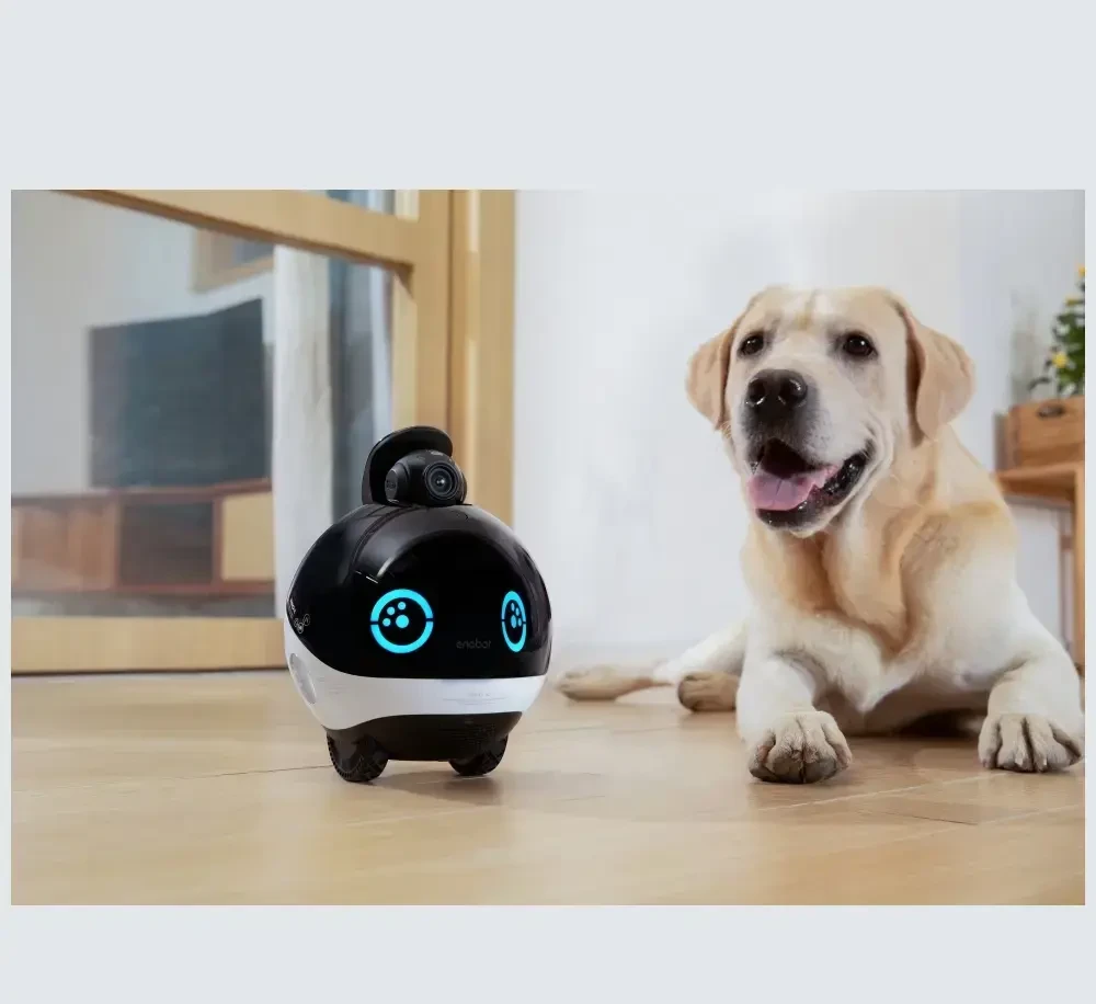ENABOT Smart Companion Robot EBO Max FamilyBot