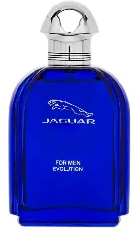 Kvepalai vyrams Jaguar Evolution EDT, 100 ml