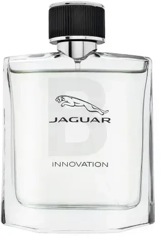 Jaguar Innovation Vyriškas tualetinis vanduo 100ml