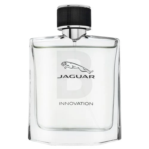 Jaguar Innovation Vyriškas tualetinis vanduo 100ml