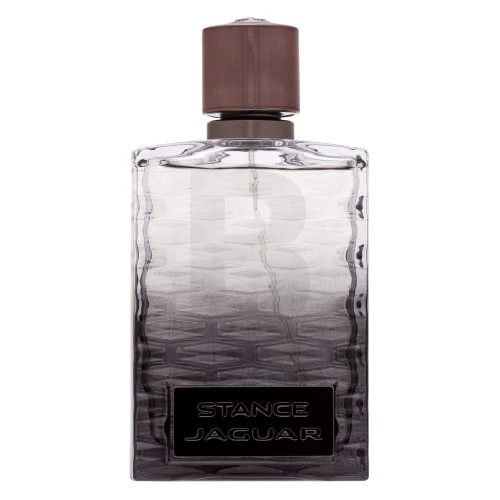 Jaguar Stance EDT tualetinis vanduo vyrams, 100 ml