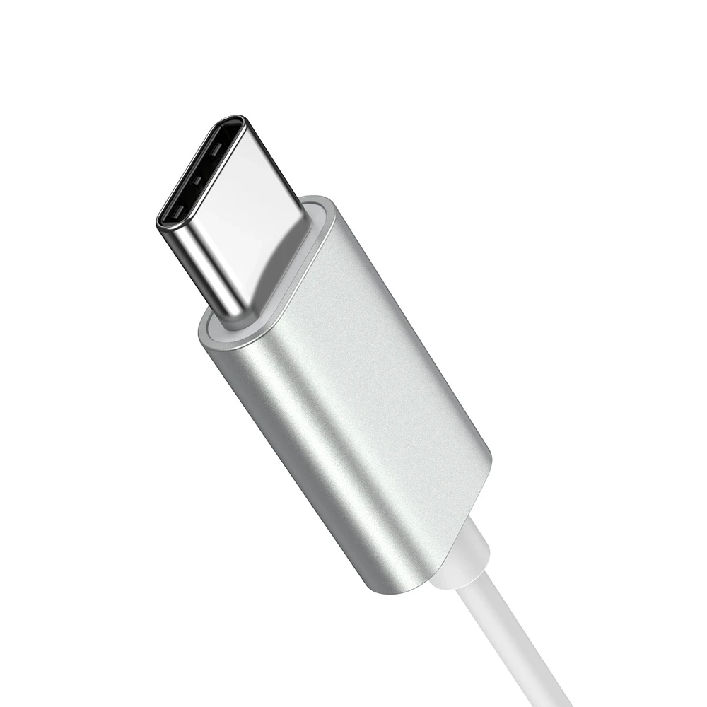 Ausinės Joyroom JR-EC06 Type-C sidabrinės