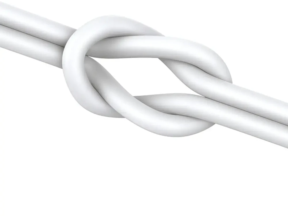 Joyroom JR-EC06 USB-C Įstatomos į ausis ausinės - sidabrinis