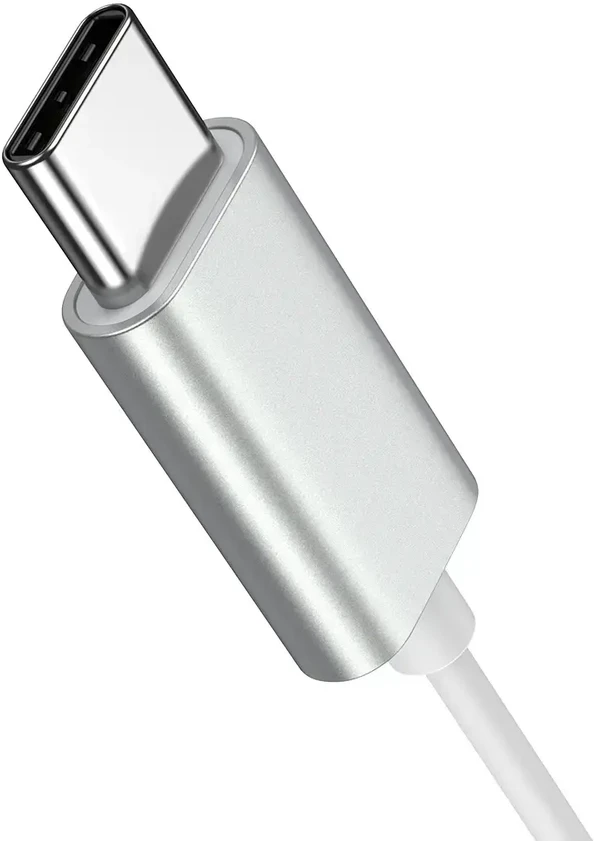 Joyroom JR-EC06 USB-C Įstatomos į ausis ausinės - sidabrinis