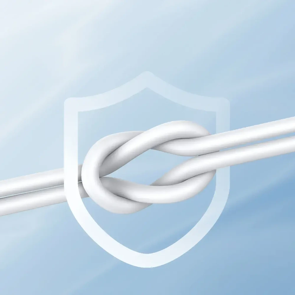 Joyroom JR-EC06 USB-C Įstatomos į ausis ausinės - sidabrinis
