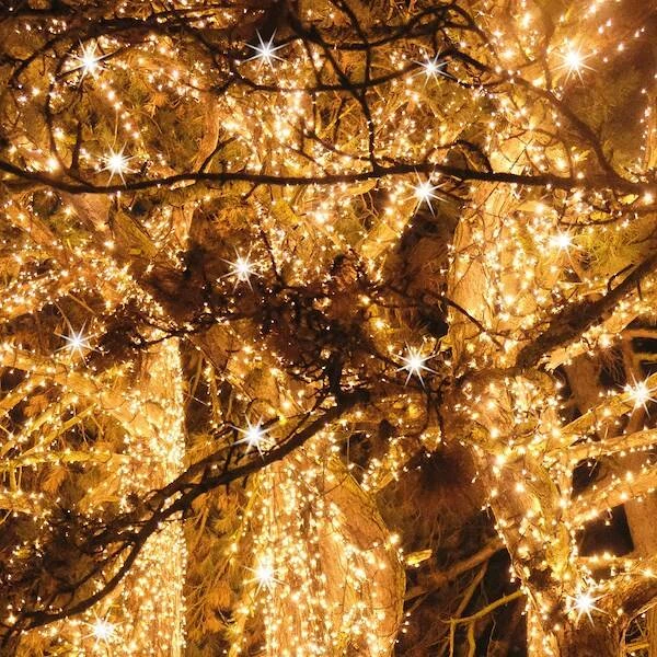 Springos Kalėdinės lemputės 50 m 1000 LED