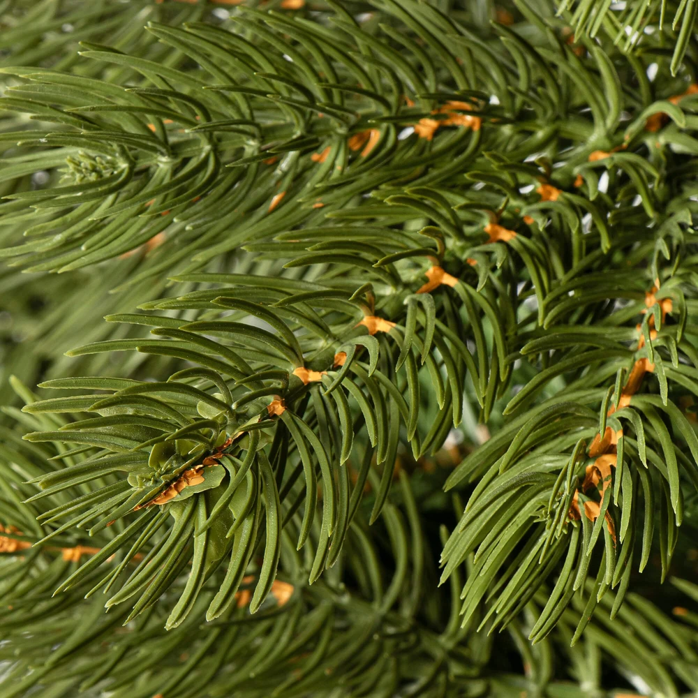 Kalėdų eglutė Springos CT0144 220 cm
