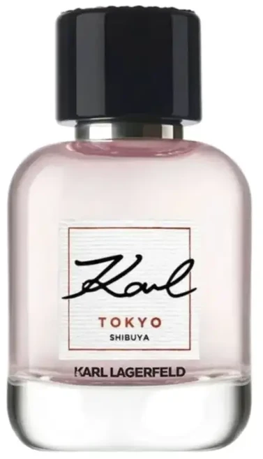 Karl Lagerfeld Karl EDP, 60 ml