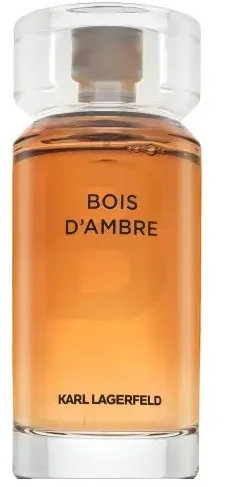 Karl Lagerfeld Bois D'Ambre EDT tualetinis vanduo vyrams, 100 ml