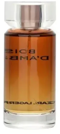 Karl Lagerfeld Bois D'Ambre EDT tualetinis vanduo vyrams, 100 ml