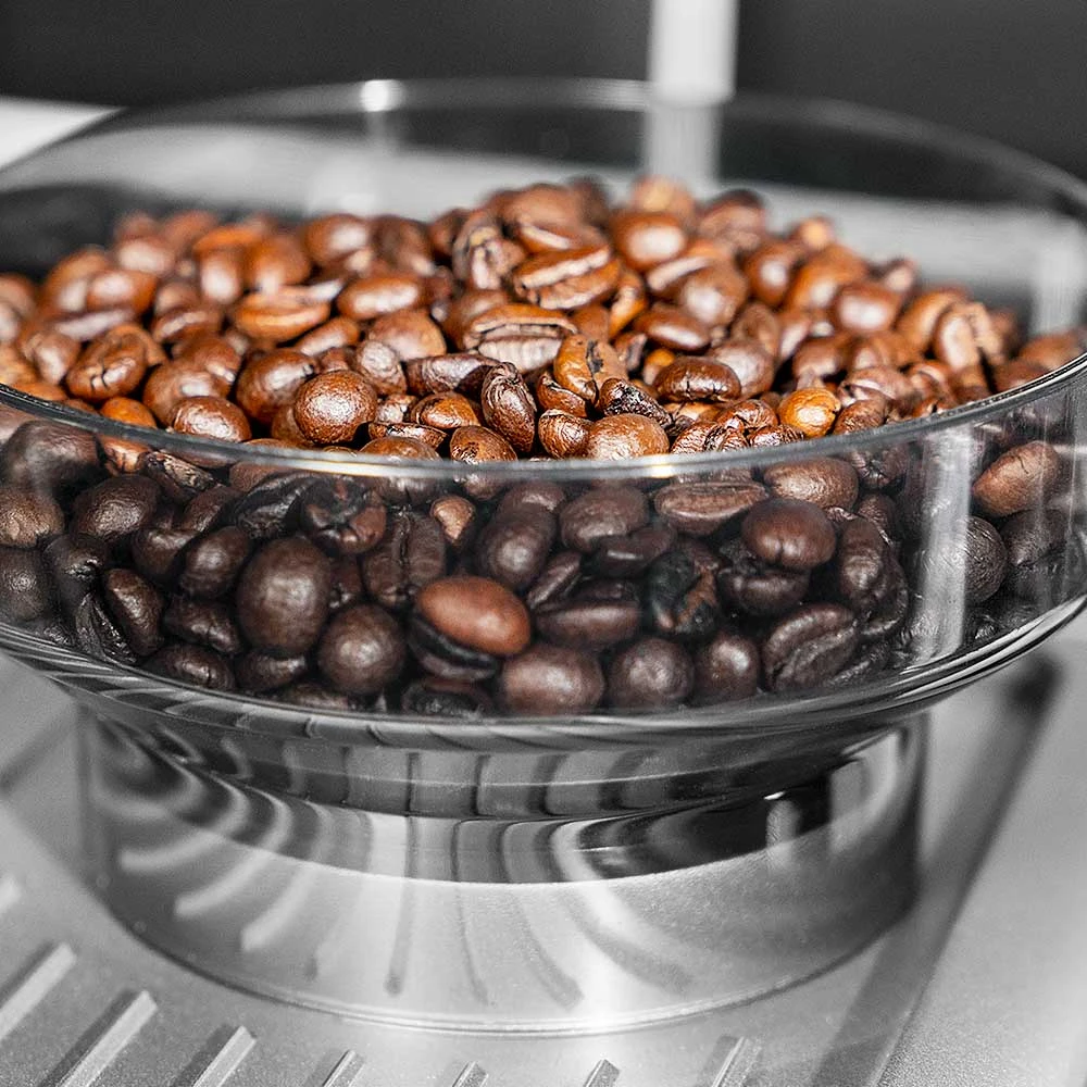 Kavos aparatas Gastroback 42619 Design Espresso Advanced Barista