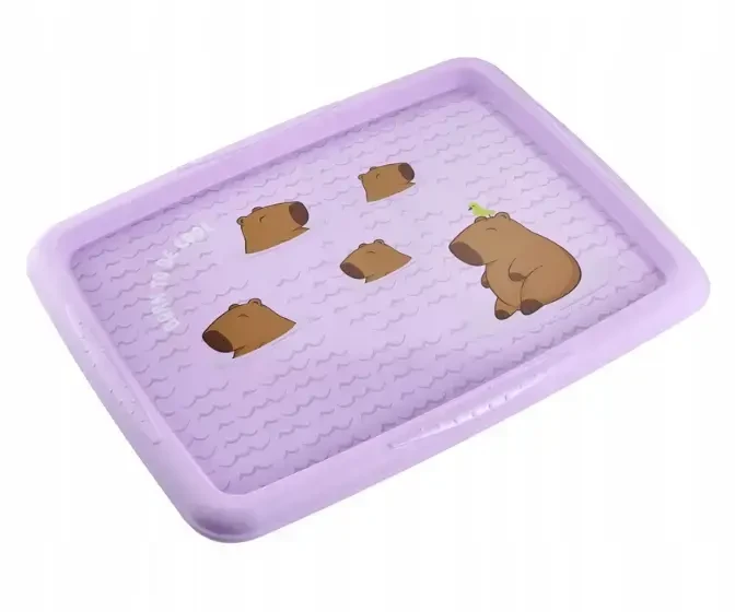 Kids Euroswan Laikymo dėžė su dangčiu 30L Karolina „Kapibara“ 45x35x27cm švelniai violetinė