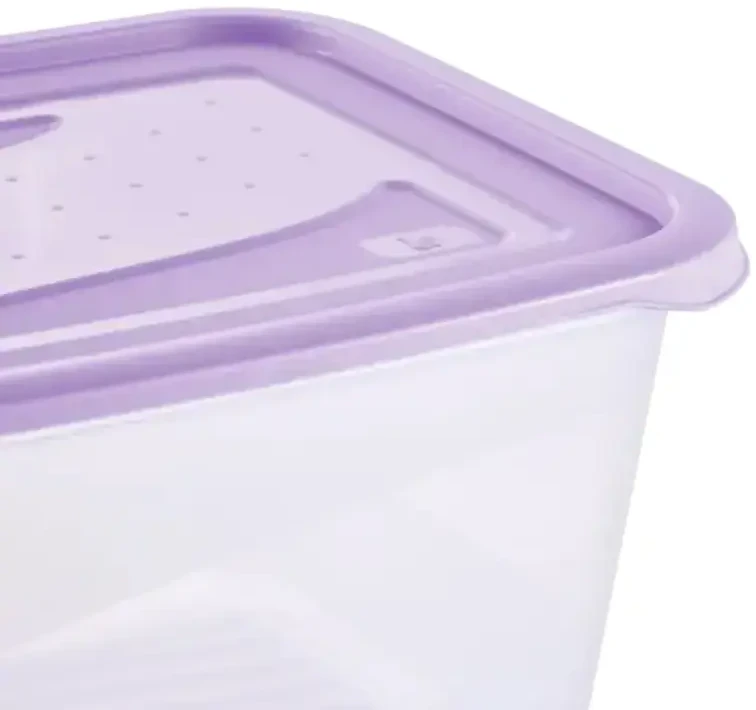 Keeeper Food container set rectangular 2x2L Fredo "Fresh" transparent/light violetinė