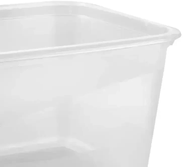 Keeeper Food container set rectangular 2x2L Fredo "Fresh" transparent/light violetinė