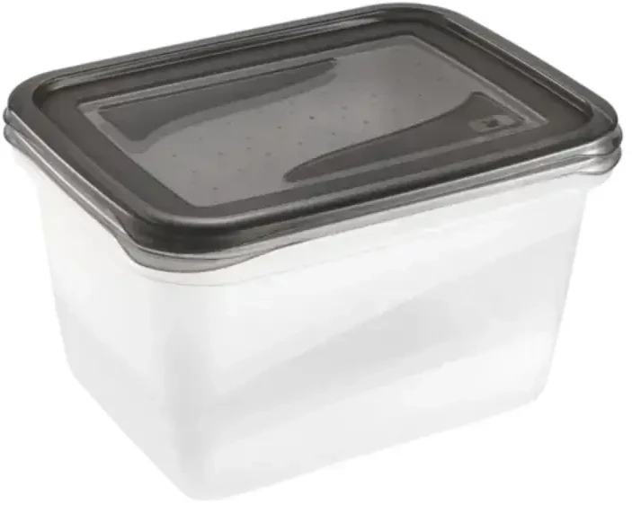 Stoneline Keeeper Food container set rectangular 2x2L Fredo "Fresh" transparent/crystal pilka