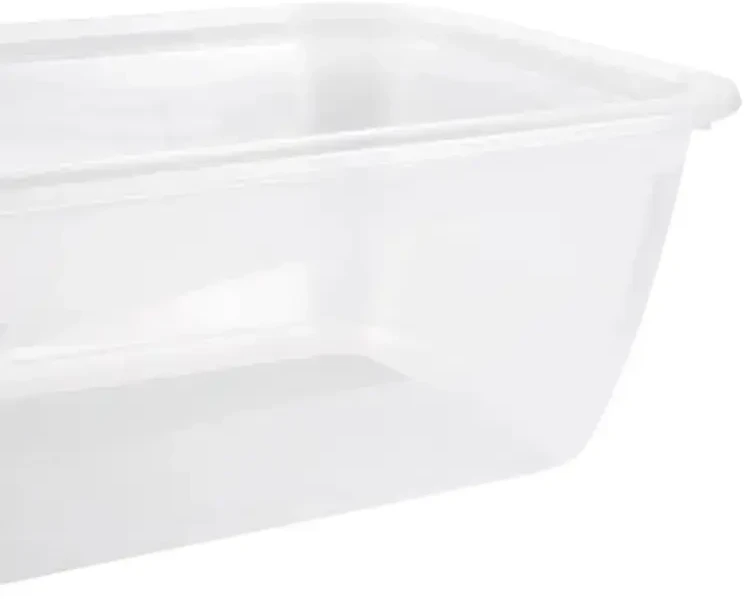 Stoneline Keeeper Food container set rectangular 2x3,3L Fredo "Fresh" transparent/light violetinė