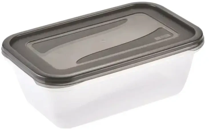 Keeeper Food container set rectangular 3x2,4L Fredo "Fresh" transparent/crystal pilka