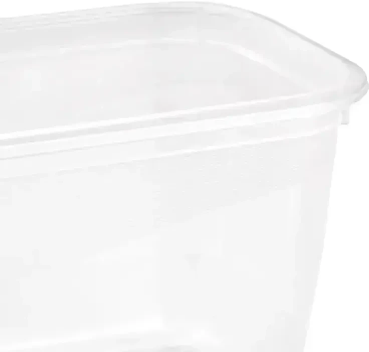 Stoneline Keeeper Food container set rectangular 4x0,75L Fredo "Fresh" transparent/crystal pilka